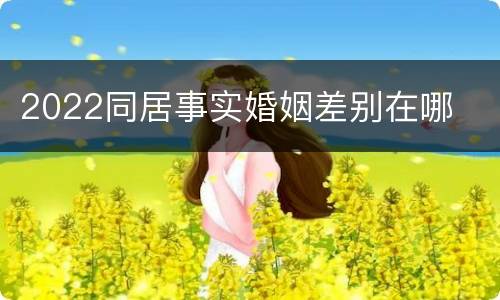 2022同居事实婚姻差别在哪