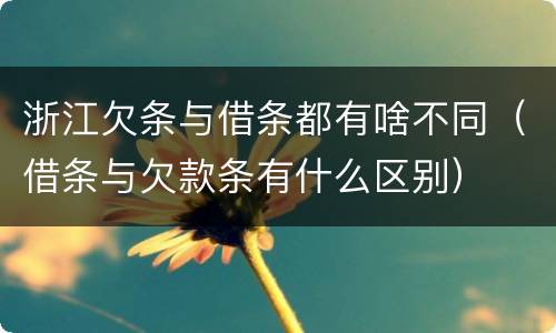 浙江欠条与借条都有啥不同（借条与欠款条有什么区别）