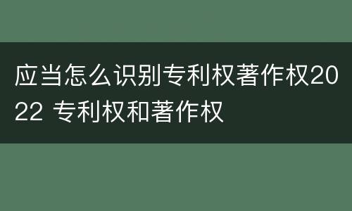 应当怎么识别专利权著作权2022 专利权和著作权
