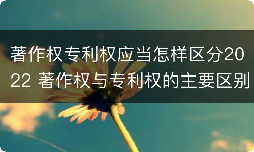 著作权专利权应当怎样区分2022 著作权与专利权的主要区别