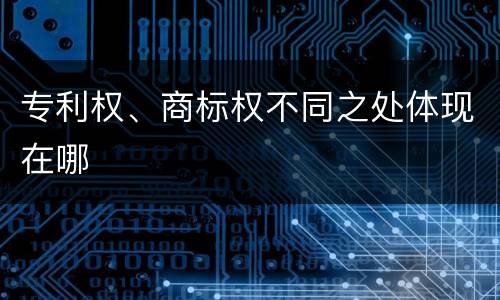 专利权、商标权不同之处体现在哪