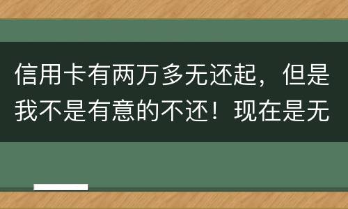 信用卡有两万多无还起，但是我不是有意的不还！现在是无钱还，银行会要怎样样