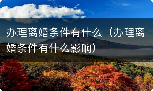 办理离婚条件有什么（办理离婚条件有什么影响）
