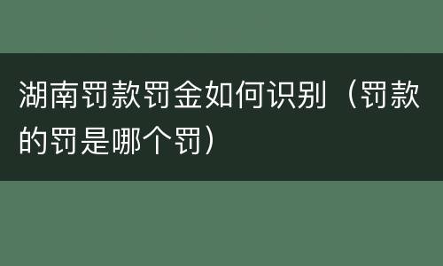湖南罚款罚金如何识别（罚款的罚是哪个罚）