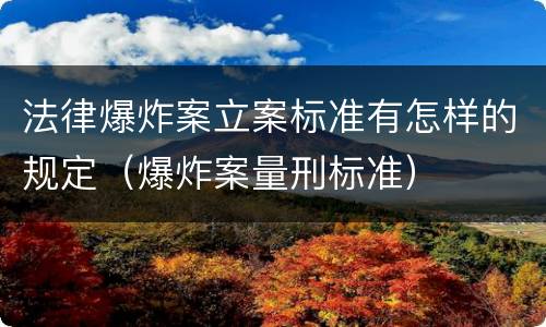 法律爆炸案立案标准有怎样的规定（爆炸案量刑标准）