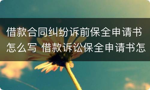借款合同纠纷诉前保全申请书怎么写 借款诉讼保全申请书怎么写