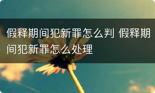 假释期间犯新罪怎么判 假释期间犯新罪怎么处理