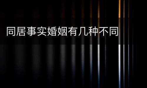 同居事实婚姻有几种不同