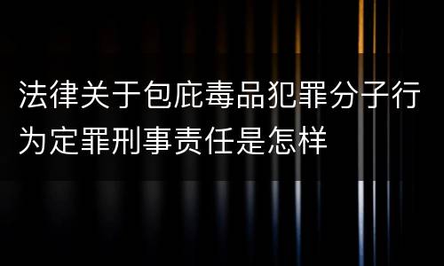 法律关于包庇毒品犯罪分子行为定罪刑事责任是怎样