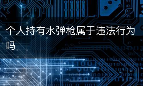 个人持有水弹枪属于违法行为吗