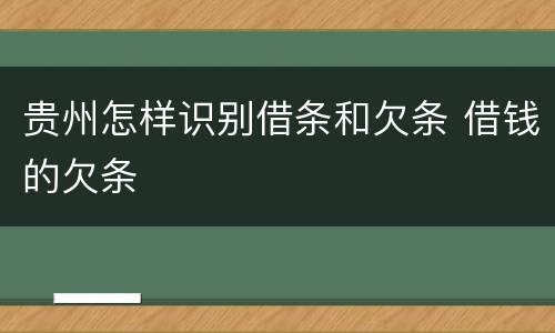 贵州怎样识别借条和欠条 借钱的欠条