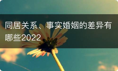 同居关系、事实婚姻的差异有哪些2022