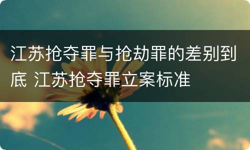 江苏抢夺罪与抢劫罪的差别到底 江苏抢夺罪立案标准