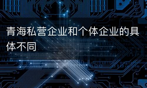 青海私营企业和个体企业的具体不同