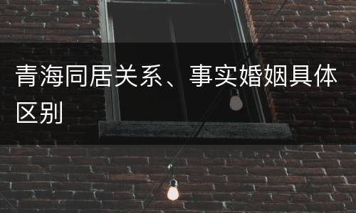 青海同居关系、事实婚姻具体区别