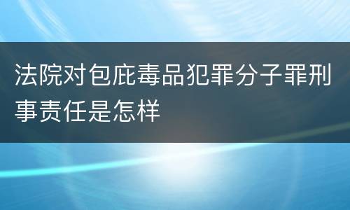 法院对包庇毒品犯罪分子罪刑事责任是怎样
