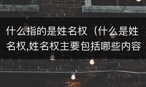 什么指的是姓名权（什么是姓名权,姓名权主要包括哪些内容）