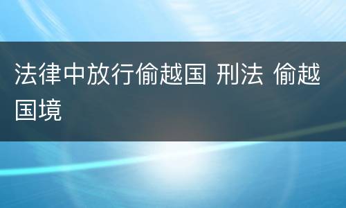 法律中放行偷越国 刑法 偷越国境