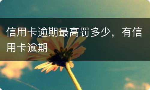 信用卡逾期最高罚多少，有信用卡逾期