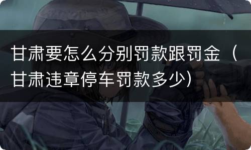 甘肃要怎么分别罚款跟罚金（甘肃违章停车罚款多少）