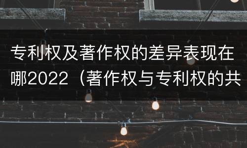 专利权及著作权的差异表现在哪2022（著作权与专利权的共性有）