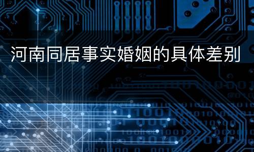 河南同居事实婚姻的具体差别