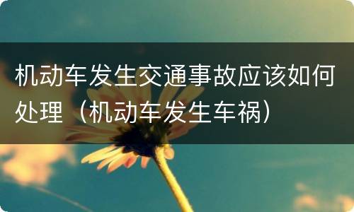 机动车发生交通事故应该如何处理（机动车发生车祸）