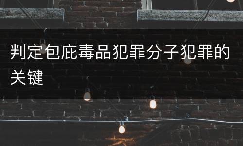 判定包庇毒品犯罪分子犯罪的关键
