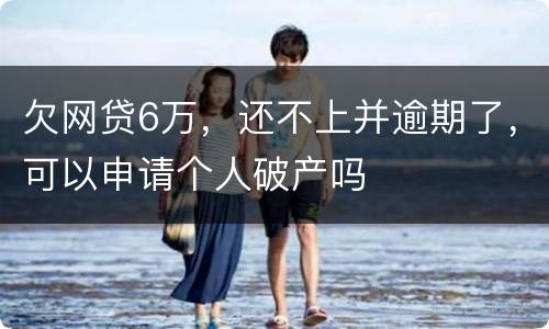 欠网贷6万，还不上并逾期了，可以申请个人破产吗