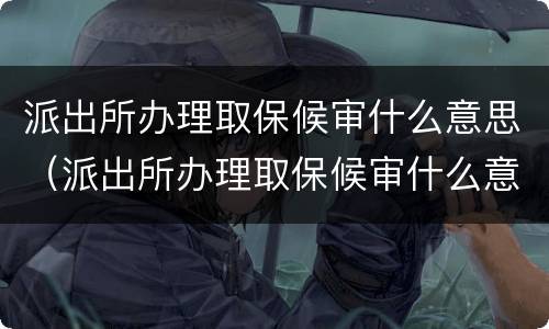 派出所办理取保候审什么意思（派出所办理取保候审什么意思呀）