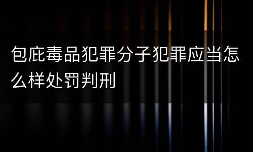 包庇毒品犯罪分子犯罪应当怎么样处罚判刑