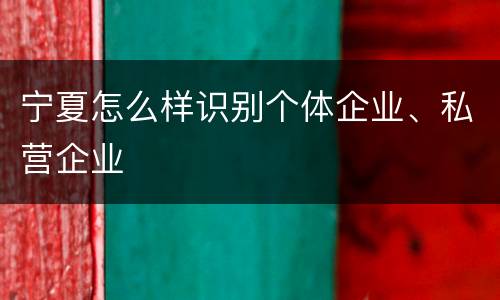 宁夏怎么样识别个体企业、私营企业