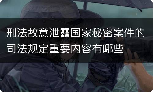 刑法故意泄露国家秘密案件的司法规定重要内容有哪些