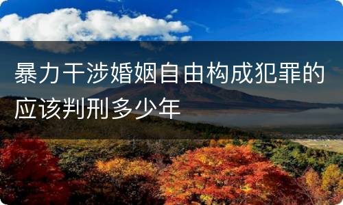 暴力干涉婚姻自由构成犯罪的应该判刑多少年