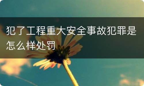 犯了工程重大安全事故犯罪是怎么样处罚