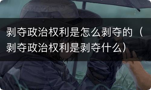 剥夺政治权利是怎么剥夺的（剥夺政治权利是剥夺什么）