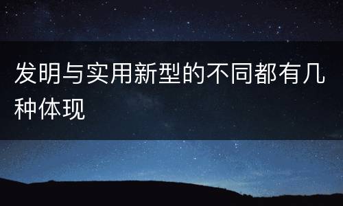 发明与实用新型的不同都有几种体现