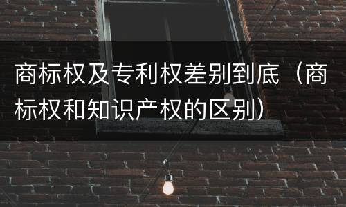 商标权及专利权差别到底（商标权和知识产权的区别）