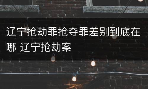 辽宁抢劫罪抢夺罪差别到底在哪 辽宁抢劫案