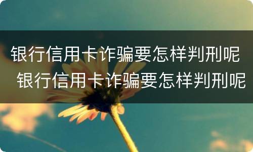 银行信用卡诈骗要怎样判刑呢 银行信用卡诈骗要怎样判刑呢视频