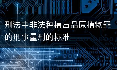 刑法中非法种植毒品原植物罪的刑事量刑的标准
