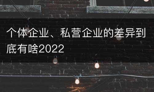 个体企业、私营企业的差异到底有啥2022