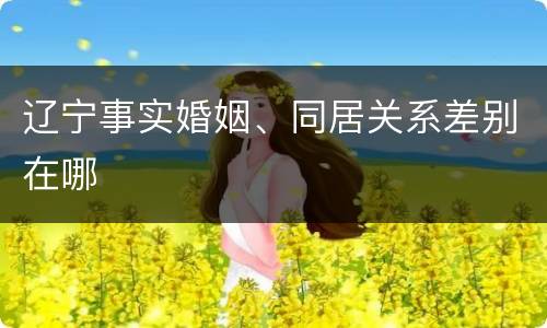 辽宁事实婚姻、同居关系差别在哪