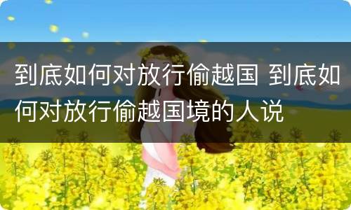 到底如何对放行偷越国 到底如何对放行偷越国境的人说