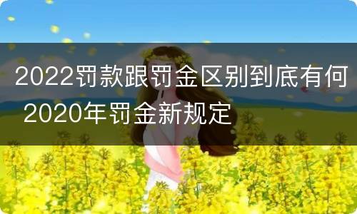 2022罚款跟罚金区别到底有何 2020年罚金新规定