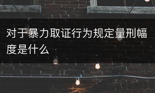 对于暴力取证行为规定量刑幅度是什么