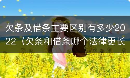 欠条及借条主要区别有多少2022（欠条和借条哪个法律更长）
