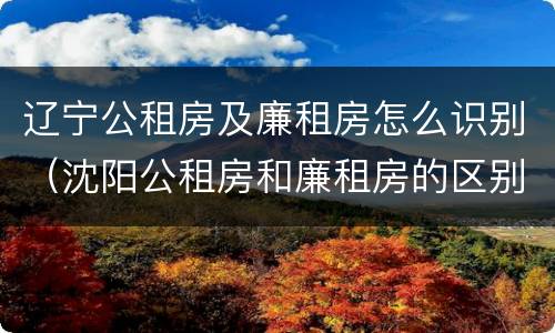 辽宁公租房及廉租房怎么识别（沈阳公租房和廉租房的区别）