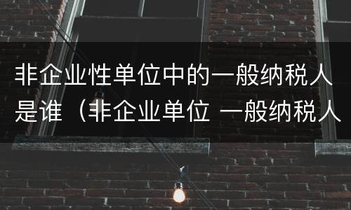 非企业性单位中的一般纳税人是谁（非企业单位 一般纳税人）