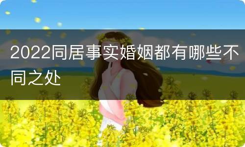 2022同居事实婚姻都有哪些不同之处